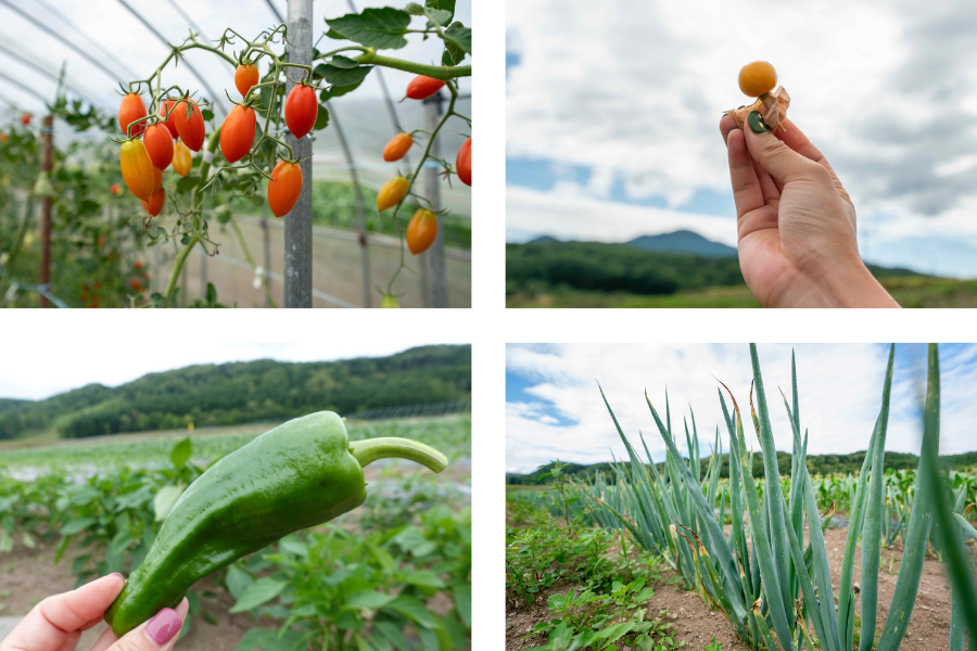 北海道自然栽培野菜