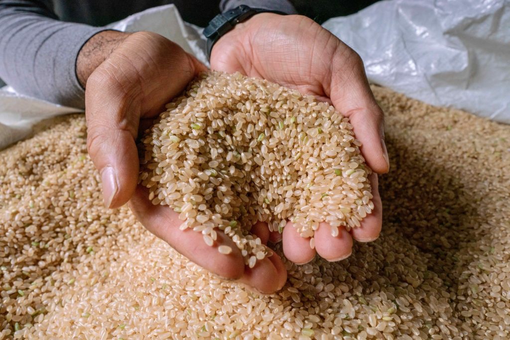 北海道蘭越町特別栽培米ななつぼし